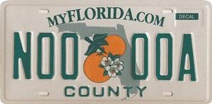 Florida License Plate Format